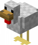 Chicken Picture.png