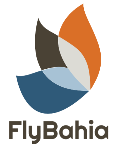 File:FlyBahia logo-words-white.png