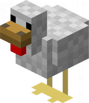 File:Chicken Picture.png