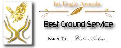 EaglesAward BestGroundService.png