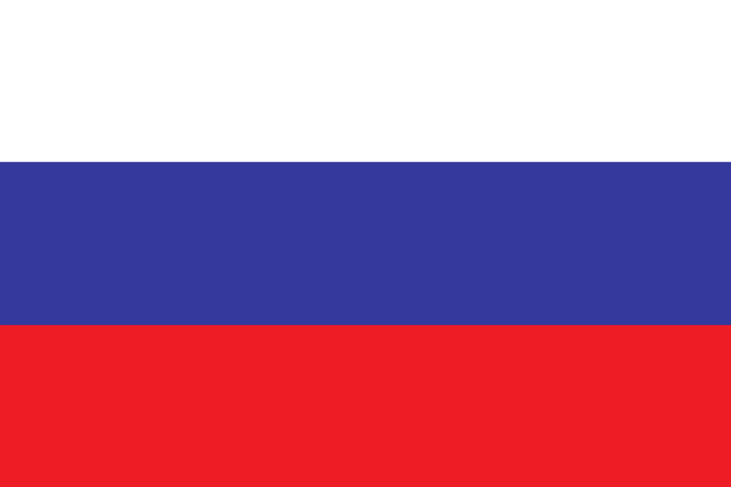 File:Flag of Svobodny.png