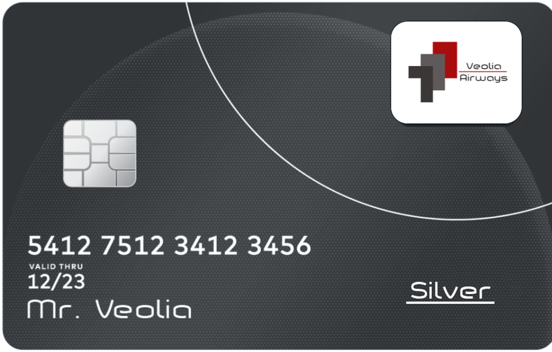 File:VeoliaCard Silver.png