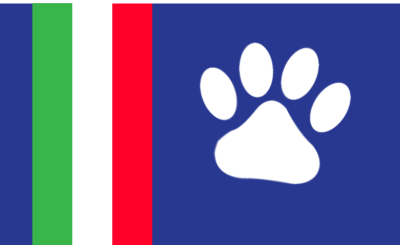 File:Flag of Murrville.png