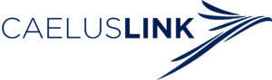 CaelusLink (50% owned)